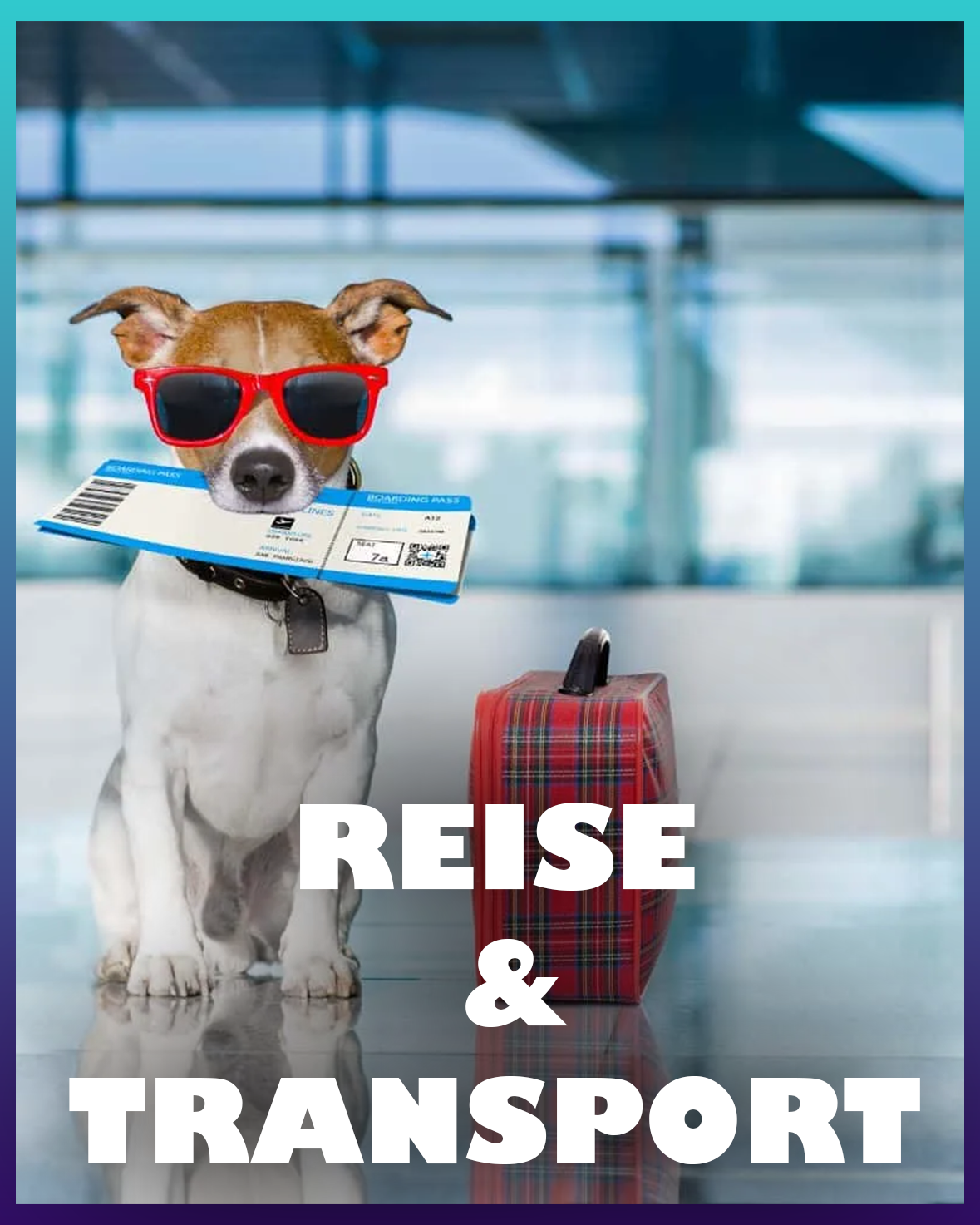 Hunde Reise und Transport