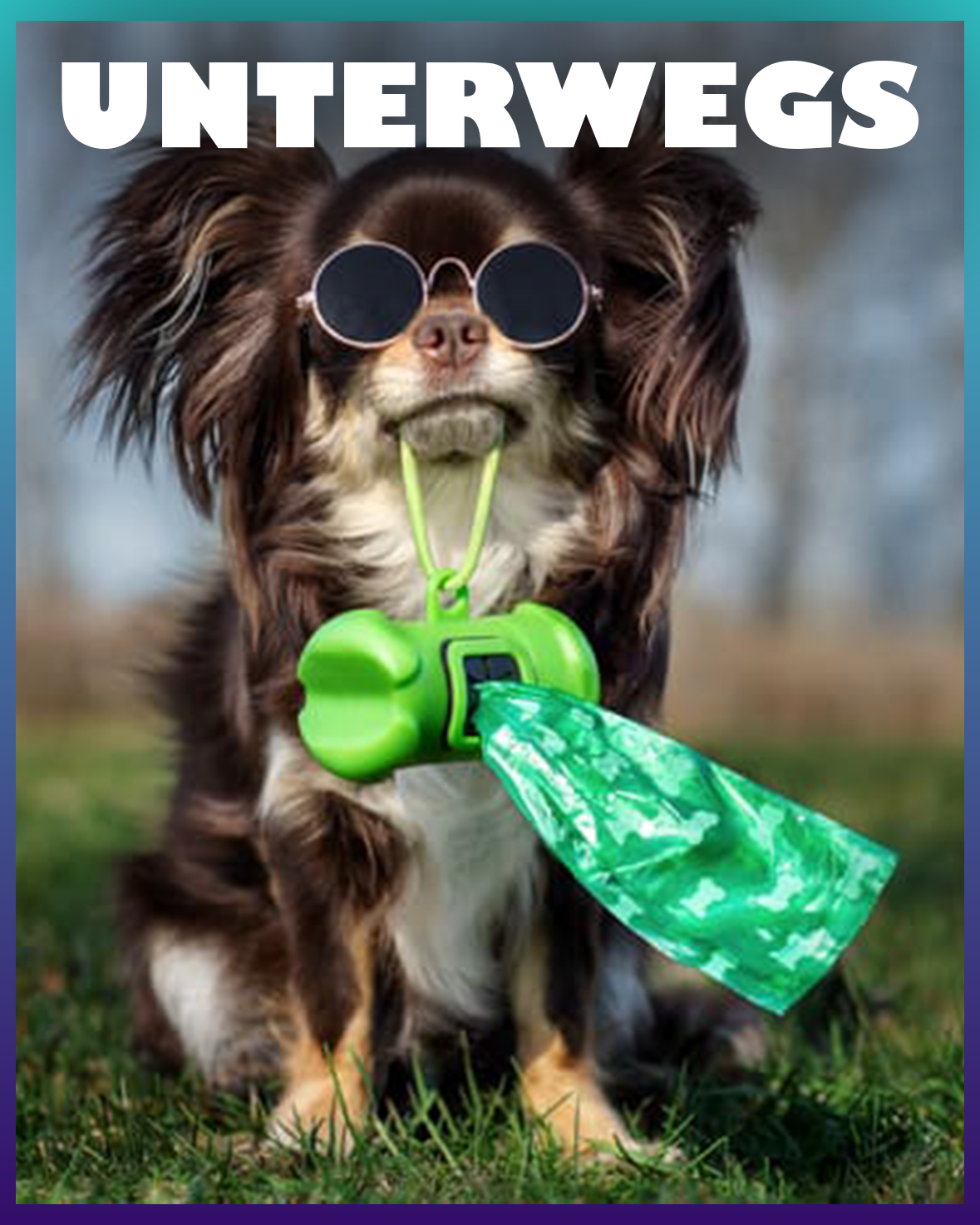 Hunde Unterwegs