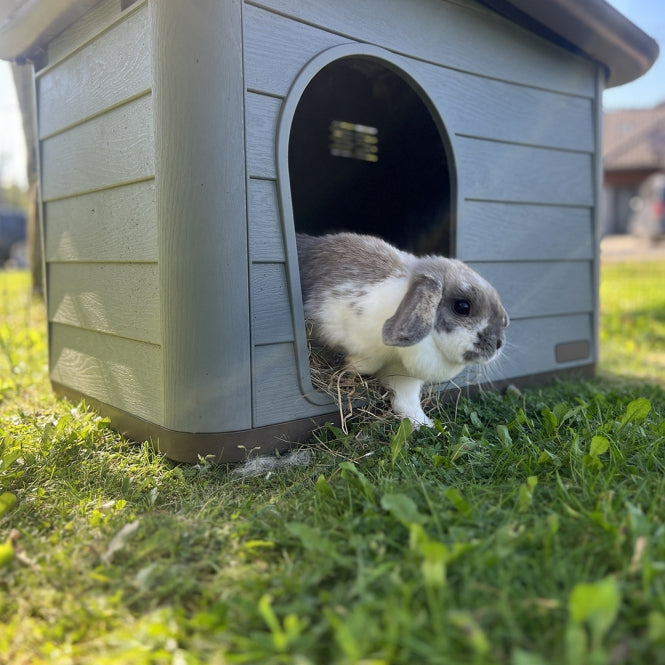 Duvoplus Tierhaus Pepita Eco