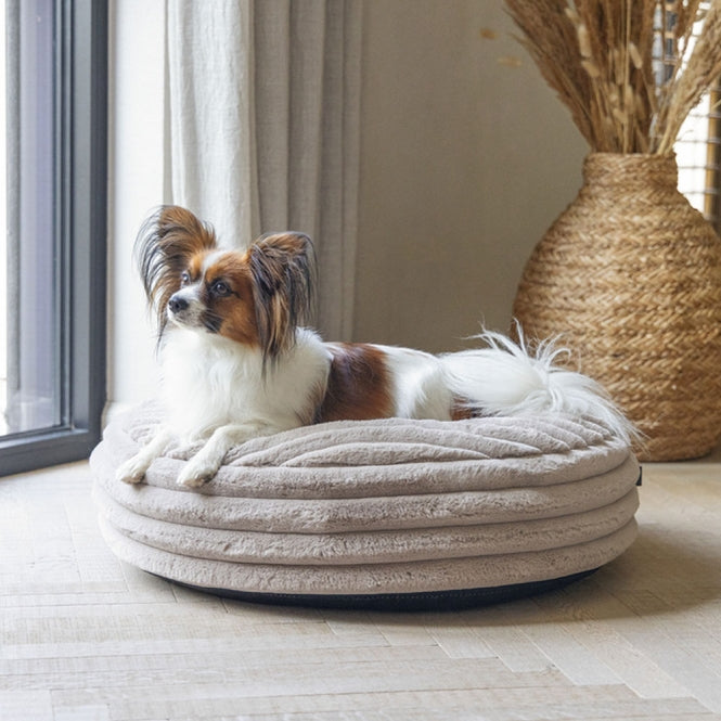 Designed by Lotte Hundebett Reza