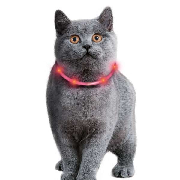 Karlie Visio Light Cat LED-Schlauch mit USB
